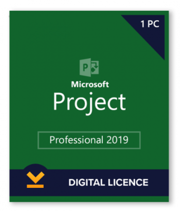 Project 2019 Professional   